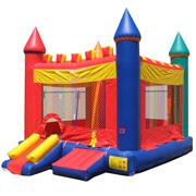 Castle With Mini Slide 